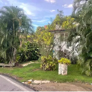  Apartment Jungle Bungalow Studio In Puerto Rico